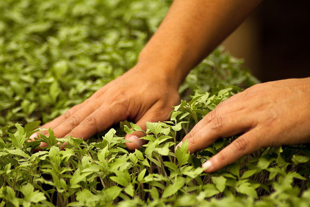 Congreso de Aapresid 2023 y la otra cara de la agroecología 